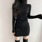 Dress Long Sleeve