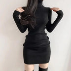 Fanan 2024 New Turtleneck Sweater Dresses Lady Sexy Slim Streetwear Bodycon Mini Dress Women Thick Basic Bottoming Dress Woman